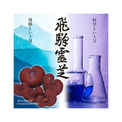 ロゴマーク （健康・美容）